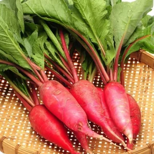 China Rose Radish Seeds - Winter Microgreens - Cold Hardy - 100 to 5000 Seeds - Image 1