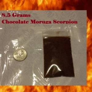 Chocolate Moruga Chili Powder Sample - 8.5 Grams, Super Hot Spice - Image 1