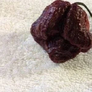 Chocolate Moruga Chili Powder Sample - 8.5 Grams - World Record Hottest Spice - Image 3