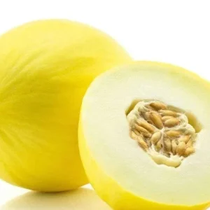Golden 51 Delicious Cantaloupe Melon Seeds - Heirloom, Heat Tolerant, 20-100 Seeds - Image 1