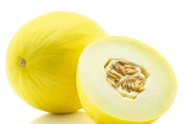 Golden 51 Delicious Cantaloupe Melon Seeds – Heirloom, Heat Tolerant – 20-100 Seeds - Image 1