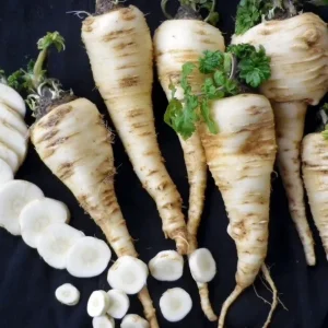 Harris Model Parsnip Seeds - Heirloom Vegetable, Hardy, Nutty Flavor, 100-4000 Seeds - Image 1
