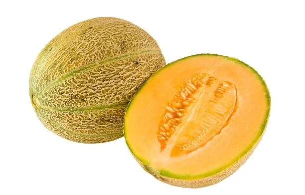 Honey Rock Cantaloupe Seeds - 25 Seeds, Sugar Rock Melon, Tough Rind - Image 2