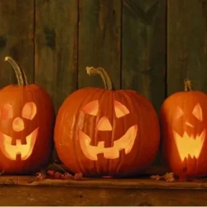 Jack-O-Lantern Pumpkin Seeds – Heirloom, Non-GMO, 100-800 Seeds for Carving & Pie, Outdoor - Image 2