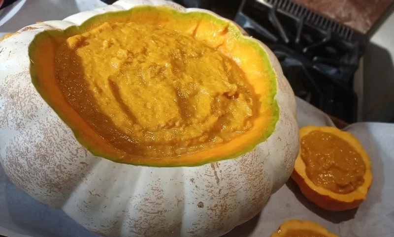Super Moon F1 Hybrid Pumpkin Seeds - AAS Winner, NON-GMO, 25-50 Lbs Fruit - Image 7