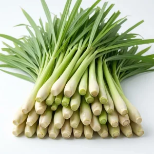 Lemongrass Live Plants - 5-6 Pack, 1 Gallon Pot, 1 Ft Tall, Culinary Herb - Image 2