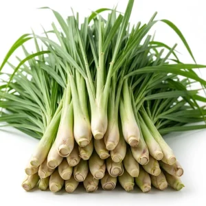 Lemongrass Live Plants - Combo 5-6 Pack, 1 Gallon Pot, 1 Ft Tall, Culinary Herb, Outdoor - Image 2
