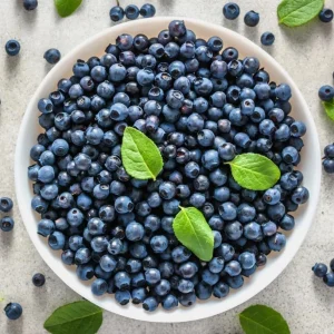 Top Hat Blueberry Bush Live Plant, 2 Pack, 5-10 Inches Tall, 4 Inch Pot - Image 4